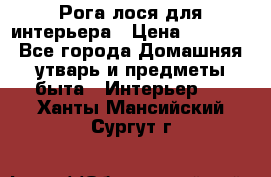 Рога лося для интерьера › Цена ­ 3 300 - Все города Домашняя утварь и предметы быта » Интерьер   . Ханты-Мансийский,Сургут г.